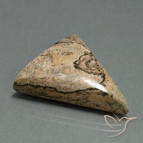 Jaspe Multicolore naturelle Trillion, 24.08 ct, Opaque