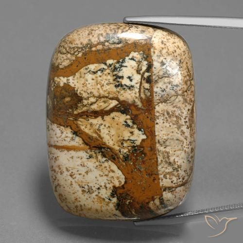 58.74ct Naturel Multicolore Jaspe, Coussin, Opaque
