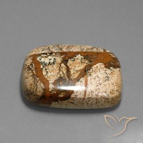 Jaspe Multicolore naturelle Coussin, 58.74 ct, Opaque