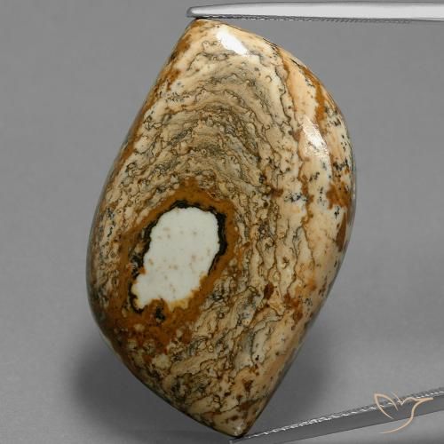47.70ct Naturel Multicolore Jaspe, Fantaisie, Opaque