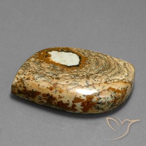 Jaspe Multicolore naturelle Fantaisie, 47.70 ct, Opaque