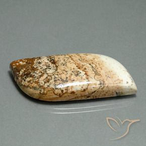 Jaspe Multicolore naturelle Fantaisie, 42.59 ct, Opaque