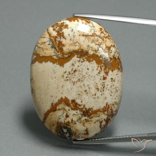 43.57ct Naturel Multicolore Jaspe, ovale, Opaque