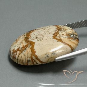 Jaspe Multicolore naturelle ovale, 43.57 ct, Opaque