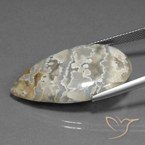 Jaspe Multicolore naturelle En forme de poire, 25.00 ct, Opaque