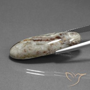 Jaspe Multicolore naturelle ovale, 23.27 ct, Opaque