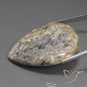 Jaspe Multicolore naturelle En forme de poire, 62.40 ct, Opaque