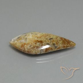 Jaspe Multicolore naturelle Fantaisie, 14.89 ct, Opaque