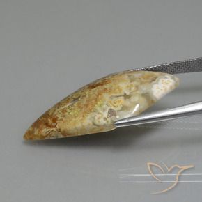 Jaspe Multicolore naturelle Fantaisie, 14.89 ct, Opaque