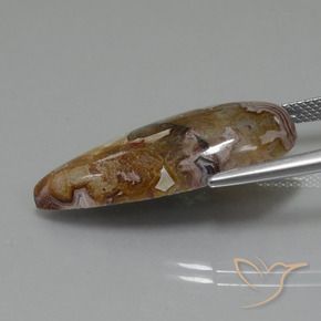 Jaspe Multicolore naturelle En forme de poire, 15.06 ct, Opaque