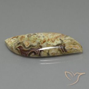 Jaspe Multicolore naturelle Fantaisie, 18.71 ct, Opaque