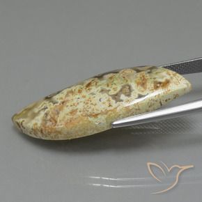 Jaspe Multicolore naturelle Fantaisie, 18.71 ct, Opaque
