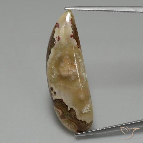 14.43ct Naturel Multicolore Jaspe, Fantaisie, Opaque