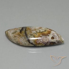 Jaspe Multicolore naturelle Fantaisie, 22.13 ct, Opaque