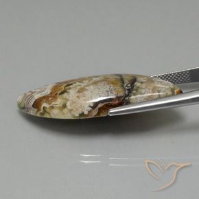 Jaspe Multicolore naturelle Fantaisie, 22.13 ct, Opaque