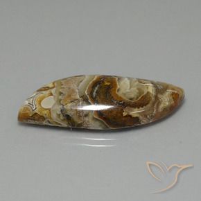 Jaspe Multicolore naturelle Fantaisie, 22.13 ct, Opaque