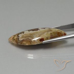 Jaspe Multicolore naturelle Fantaisie, 17.84 ct, Opaque