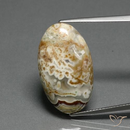 14.29ct Naturel Multicolore Jaspe, ovale, Opaque