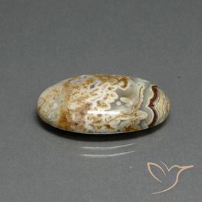 Jaspe Multicolore naturelle ovale, 14.29 ct, Opaque
