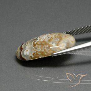 Jaspe Multicolore naturelle ovale, 14.29 ct, Opaque