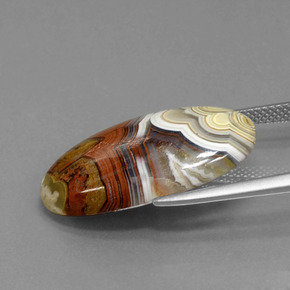 Jaspe Multicolore naturelle Coupe ovale, 13.94 ct, Opaque