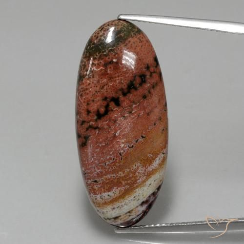 15.75ct Naturel Multicolore Jaspe, ovale, Opaque