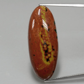 Jaspe multicolore naturelle coupe ovale, 17,43 ct, opaque