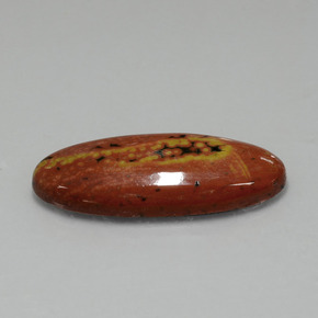 Jaspe multicolore naturelle coupe ovale, 17,43 ct, opaque
