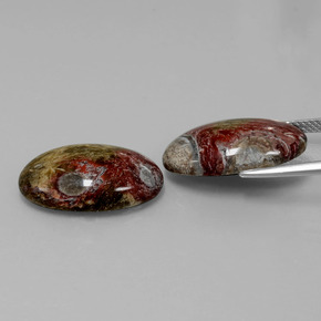 Achetez naturel ct Multicolore Jaspe gems, Coupe ovale, En provenance Indonésie chez GemSelect. En stock, livraison internationale!