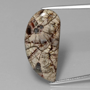 Jaspe Multicolore naturelle Forme fantaisie, 8.64 ct, Opaque