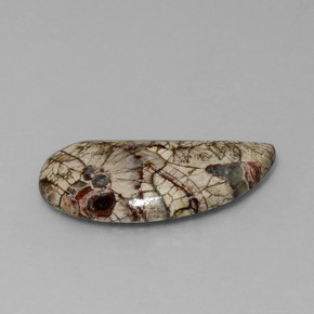 Jaspe Multicolore naturelle Forme fantaisie, 8.64 ct, Opaque