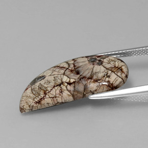 Jaspe Multicolore naturelle Forme fantaisie, 8.64 ct, Opaque