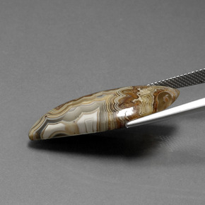 Jaspe Multicolore naturelle Forme fantaisie, 15.18 ct, Opaque