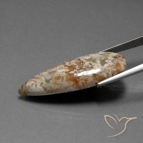 Jaspe Multicolore naturelle En forme de poire, 19.58 ct, Opaque