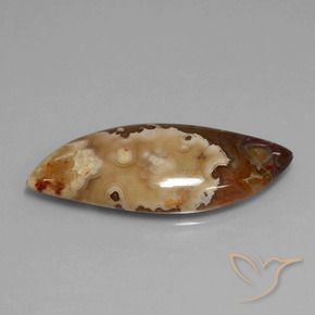 Jaspe Multicolore naturelle Fantaisie, 17.69 ct, Opaque