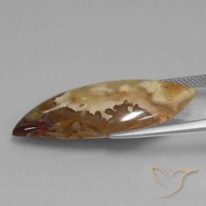 Jaspe Multicolore naturelle Fantaisie, 17.69 ct, Opaque