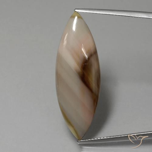 13.74ct Naturel Multicolore Jaspe, Marquise, Opaque