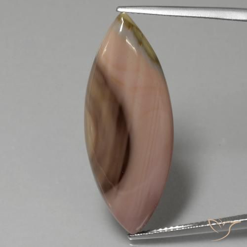 16.57ct Naturel Multicolore Jaspe, Marquise, Opaque