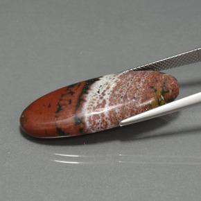 Jaspe Multicolore naturelle Coupe ovale, 17.25 ct, Opaque