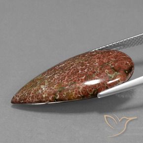 Jaspe Multicolore naturelle En forme de poire, 9.57 ct, Opaque