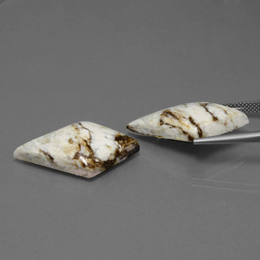 Achetez naturel ct Multicolore Jaspe gems, Forme fantaisie, En provenance Indonésie chez GemSelect. En stock, livraison internationale!