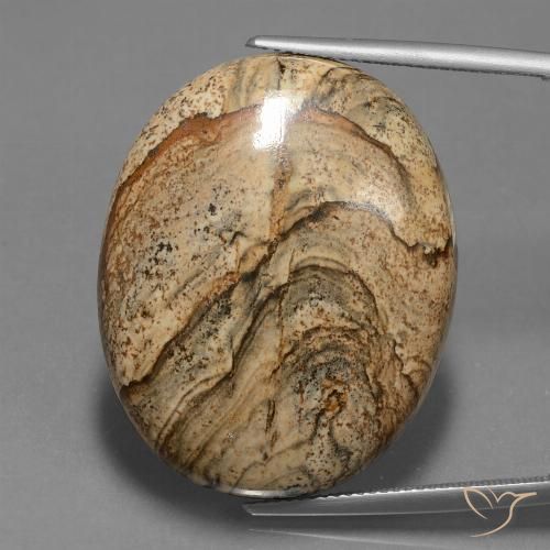 45.92ct Naturel Multicolore Jaspe, ovale, Opaque