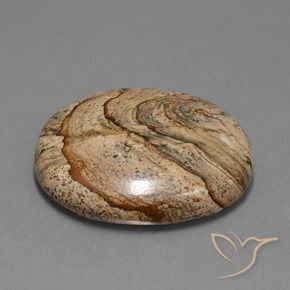 Jaspe Multicolore naturelle ovale, 45.92 ct, Opaque