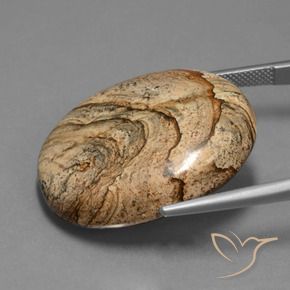 Jaspe Multicolore naturelle ovale, 45.92 ct, Opaque