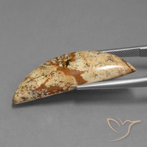 Jaspe Multicolore naturelle Fantaisie, 22.98 ct, Opaque