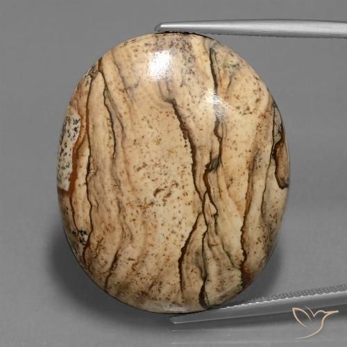 41.04ct Naturel Multicolore Jaspe, ovale, Opaque