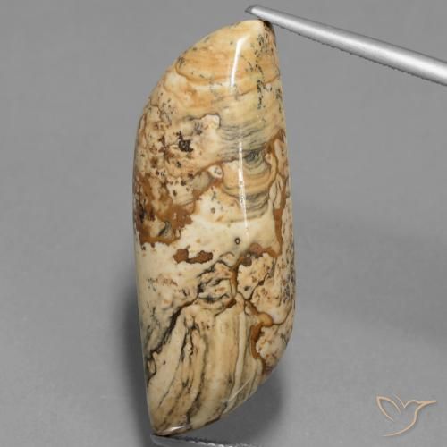 27.33ct Naturel Multicolore Jaspe, Fantaisie, Opaque