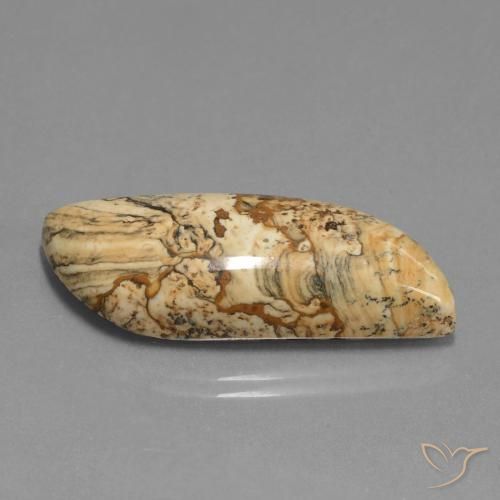 Jaspe Multicolore naturelle Fantaisie, 27.33 ct, Opaque
