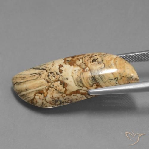 Jaspe Multicolore naturelle Fantaisie, 27.33 ct, Opaque