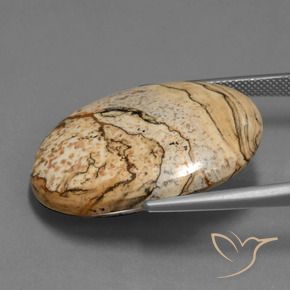 Jaspe Multicolore naturelle ovale, 35.84 ct, Opaque
